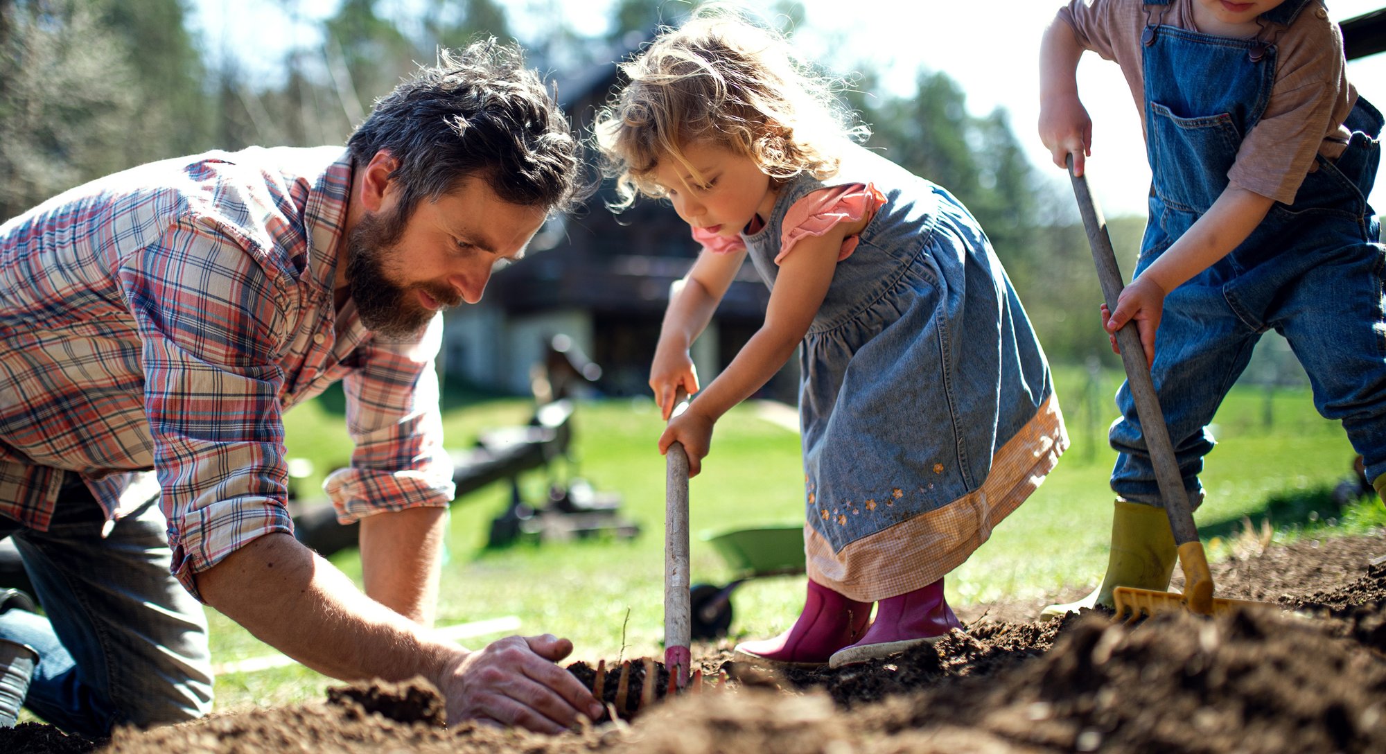Scotts-miracle-gro-challenge