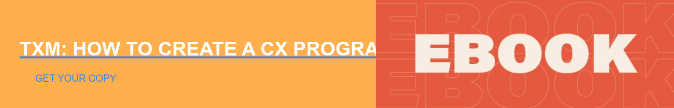 TXM: How to Create a CX Program That Drives Innovation Get Your Copy