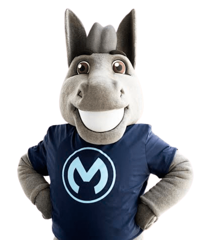 max-the-mule-removebg-preview